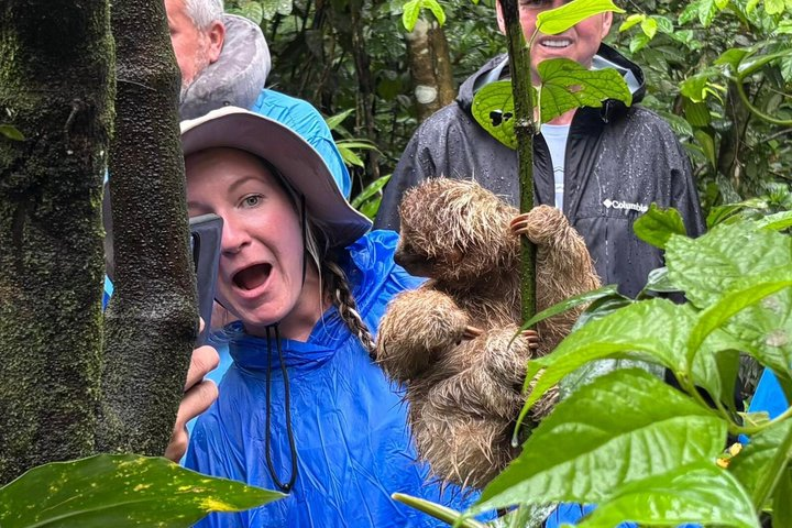 Sloths, Monkeys and Waterfall Experience - Photo 1 of 7